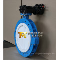 PTFE Lining Full Lug Type Butterfly Valve (D41X-10/16)